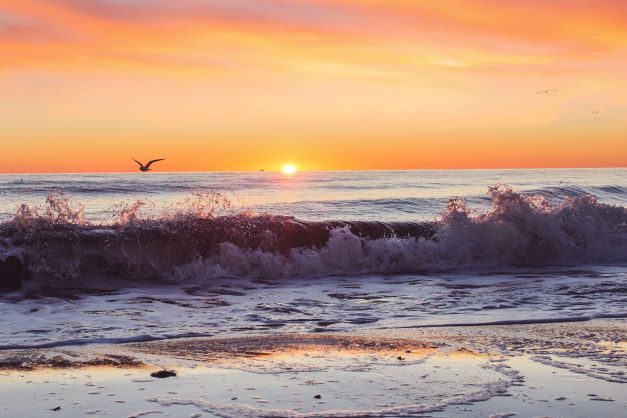 Waves crashing ashore as a seagull flies agaisnt a bright orange sunrise sky, Virginia Beach.