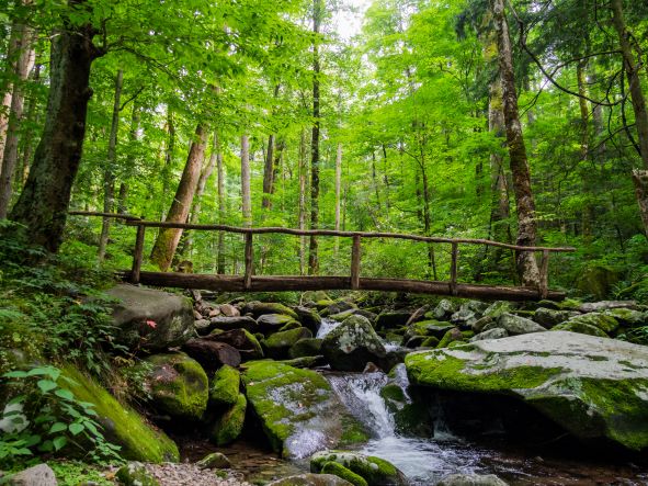 Picturesque wooden bride over forest creek, Smoky Mountains, Tennessee. 