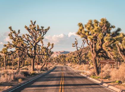 Road through the desert of Joshua Tree National Park