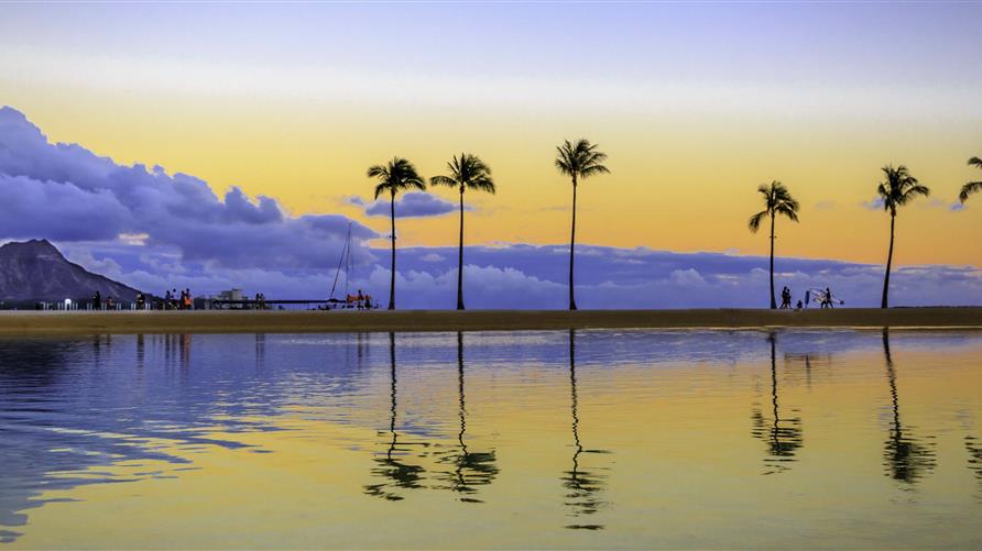Sunrise behind a row of palm trees in Hawaii.